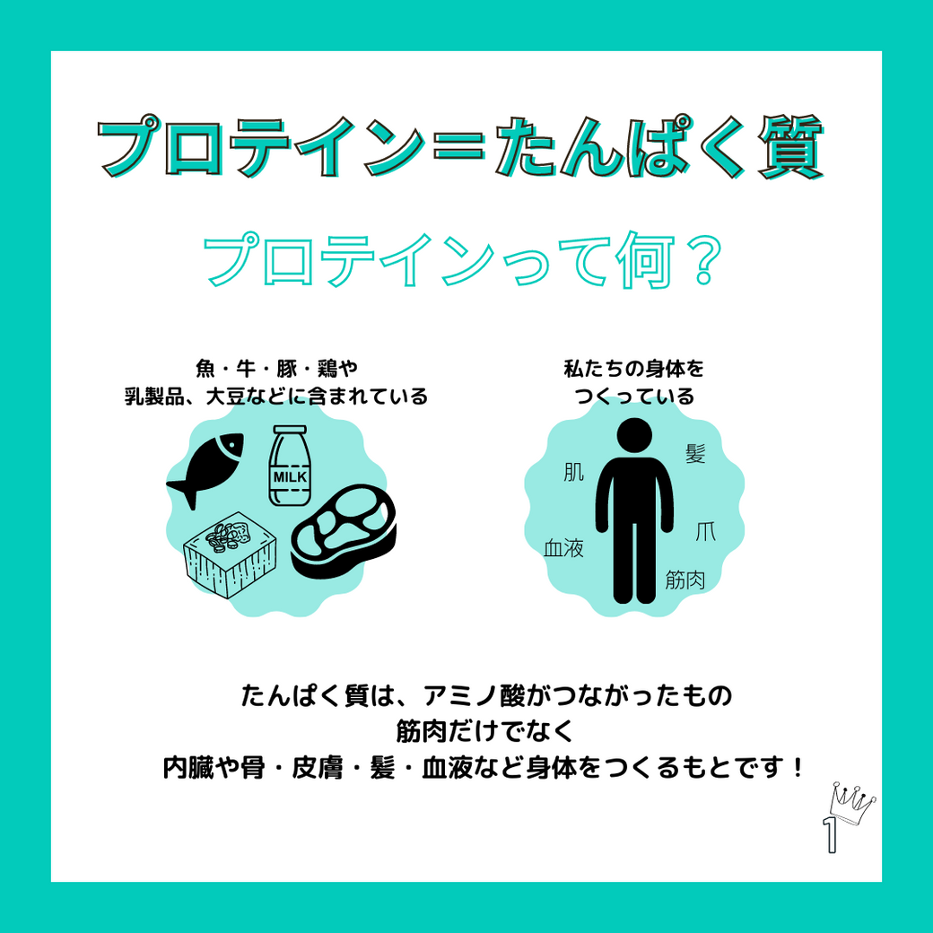 プロテインって何?